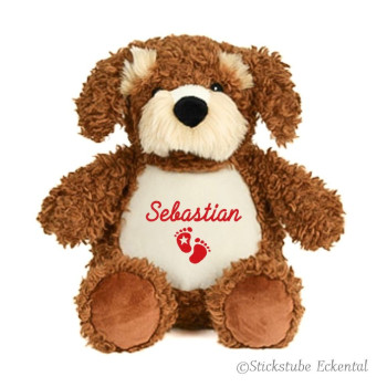 Hund Cockapoo mit Namen